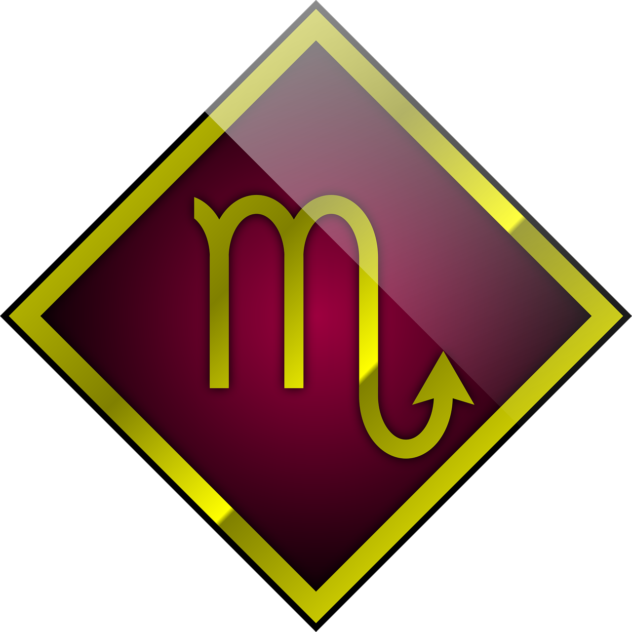 天蝎座适合养什么宠物？性格配对指南