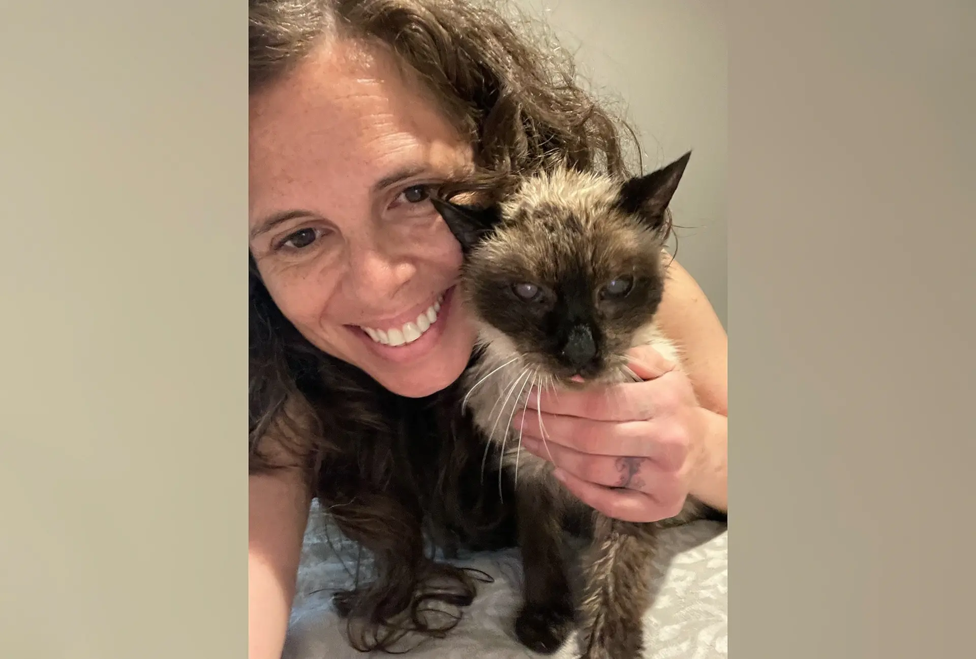 女子与失散一年多的暹罗猫奇迹重逢，呼吁宠主为宠物植入芯片