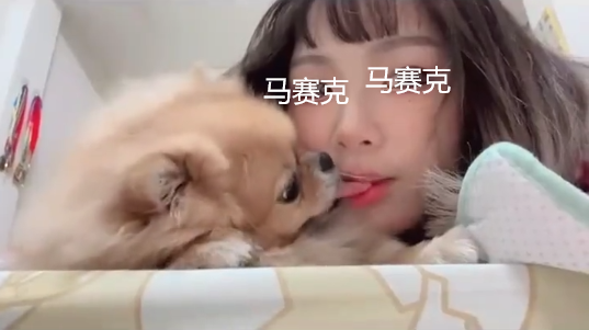 女子和爱犬拍亲昵视频，对着镜头互相"吐信子"，网友：给看吐了